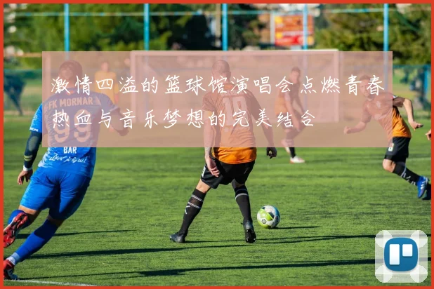 激情四溢的篮球馆演唱会点燃青春热血与音乐梦想的完美结合