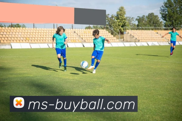 买球首页全站App